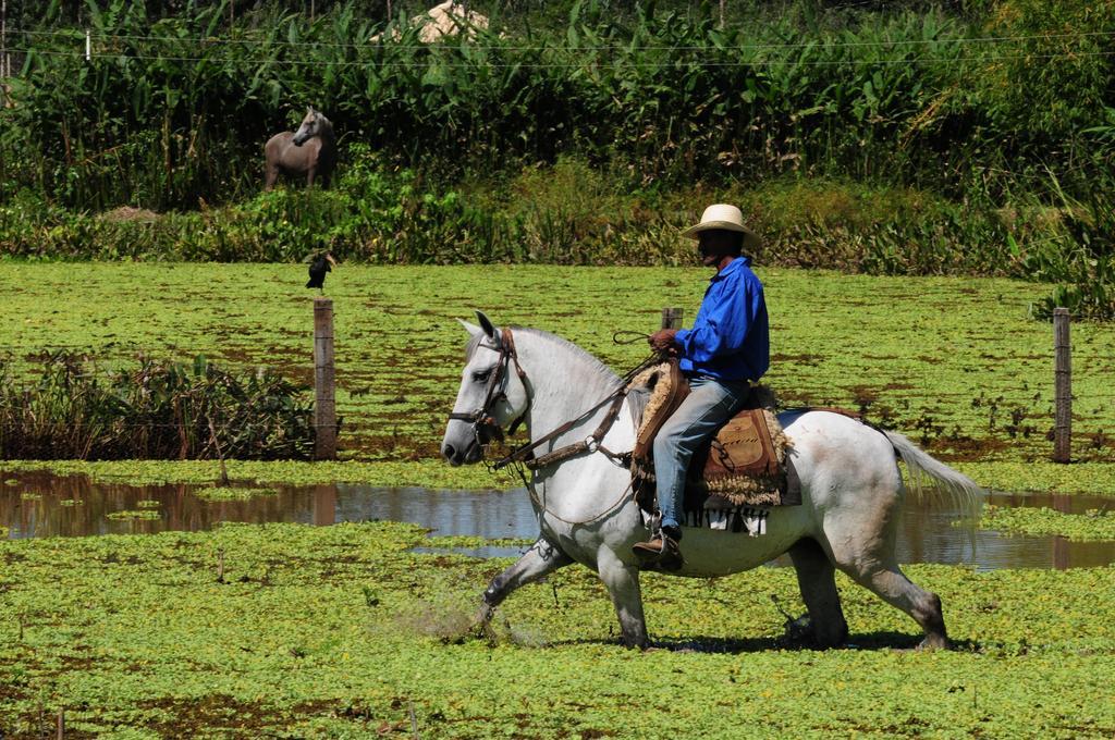 Pousada Rio Claro Poconé المظهر الخارجي الصورة