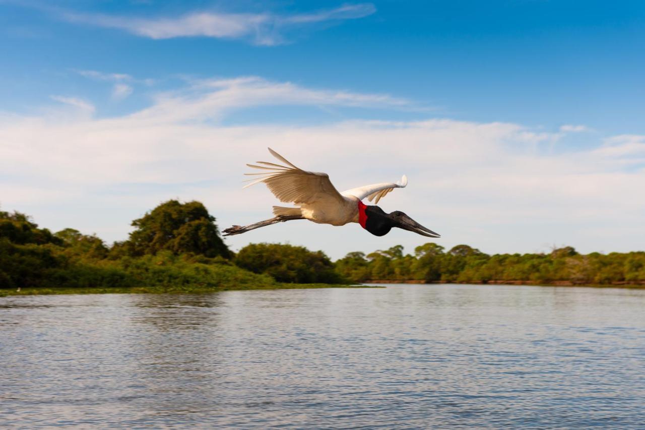 Pousada Rio Claro Poconé المظهر الخارجي الصورة